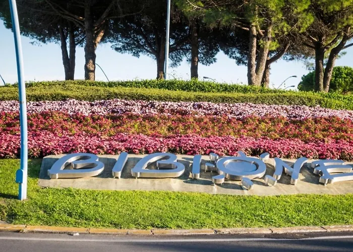 Ground Floor Flat Just 300mt From The